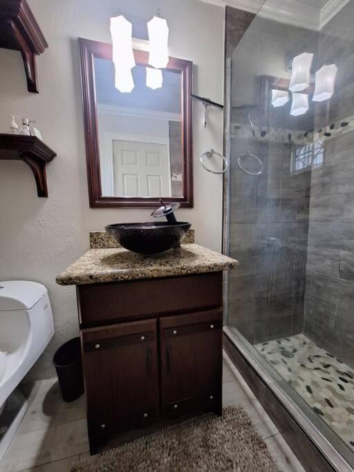 Chateau Central At Sunbury Apts Kingston Luaran gambar